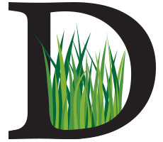Doguet Turf