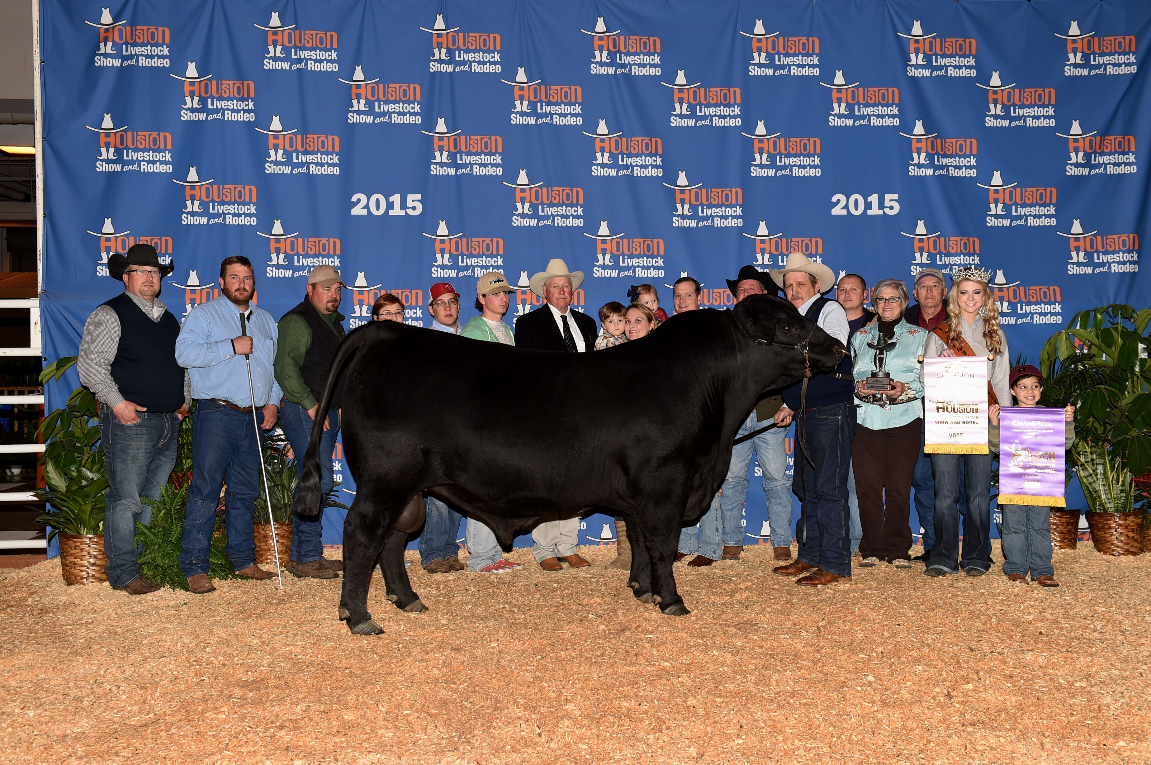 Beaumont Brangus Cattle Diamond D Ranch